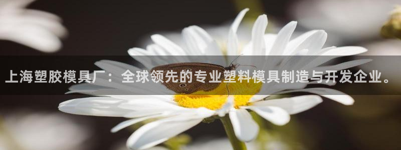 太阳集团城网2018：上海塑胶模具厂：全球领先的专业塑料模具制造与开发企业。