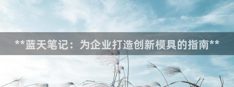 太阳集团影视：**蓝天笔记：为企业打造创新模具的指南**