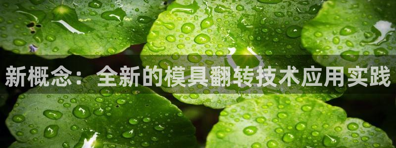 太阳集团董事长是谁?：新概念：全新的模具翻转技术应用实践