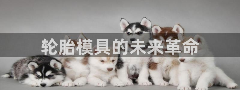太阳app官方下载：轮胎模具的未来革命