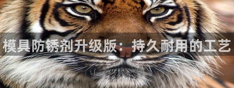 太阳2平台网址：模具防锈剂升级版：持久耐用的工艺