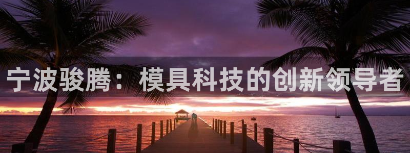 太阳成集团客服：宁波骏腾：模具科技的创新领导者