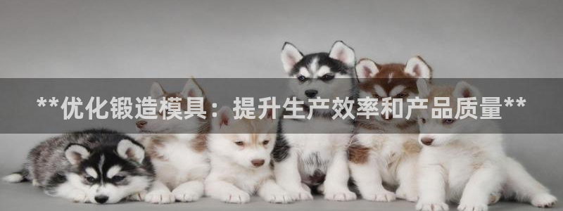 太阳阳城集团：**优化锻造模具：提升生产效率和产品质量**