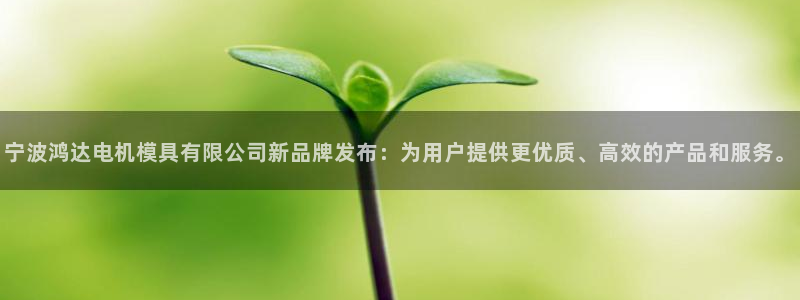 太阳国际娱乐古天乐：宁波鸿达电机模具有限公司新品牌发布：为用户提供更优质、高效的产品和服务。