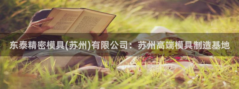 太阳阳城集团有限公司：东泰精密模具(苏州)有限公司：苏州高端模具制造基地