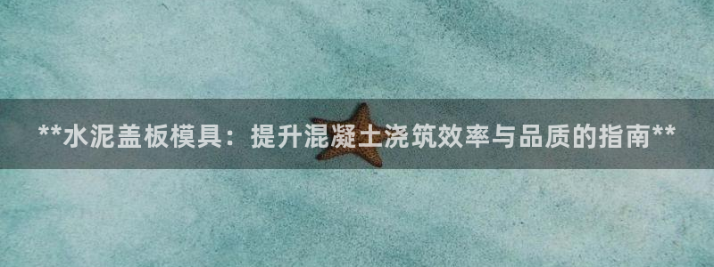 太阳成集团tyc234cc：**水泥盖板模具：提升混凝土浇筑效率与品质的指南**