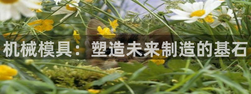 古天乐太阳网城：机械模具：塑造未来制造的基石