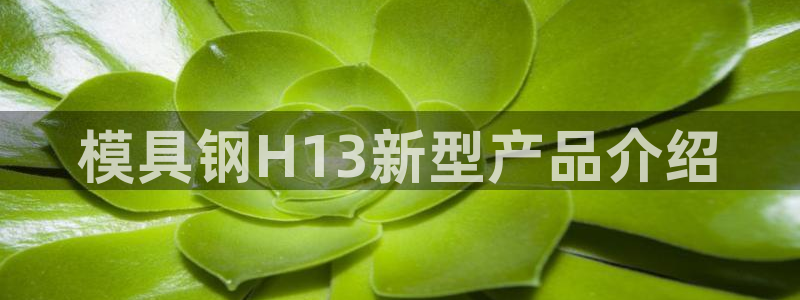 太阳集团网站2018：模具钢H13新型产品介绍