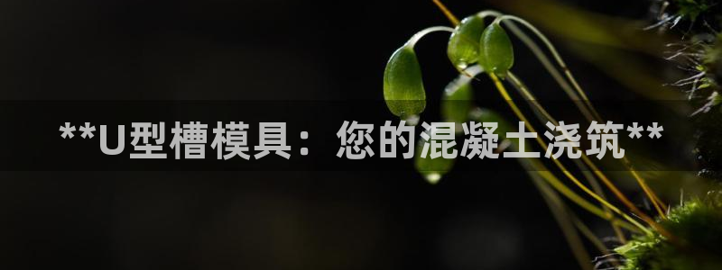 太阳集团官网8722：**U型槽模具：您的混凝土浇筑**