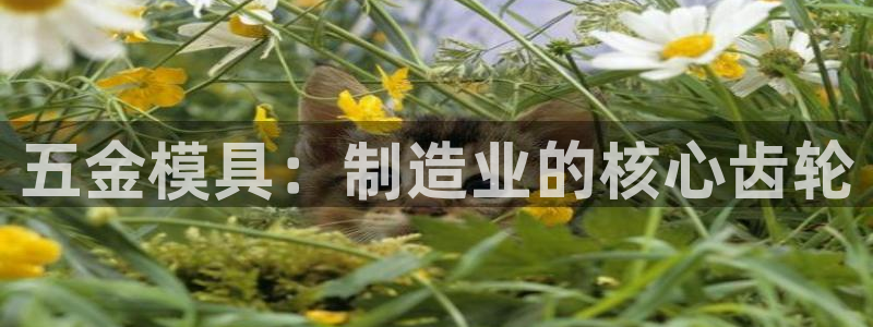 古天乐代言澳门太阳是真的吗：五金模具：制造业的核心齿轮
