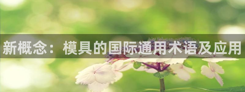 太阳集团董事长是谁照片：新概念：模具的国际通用术语及应用