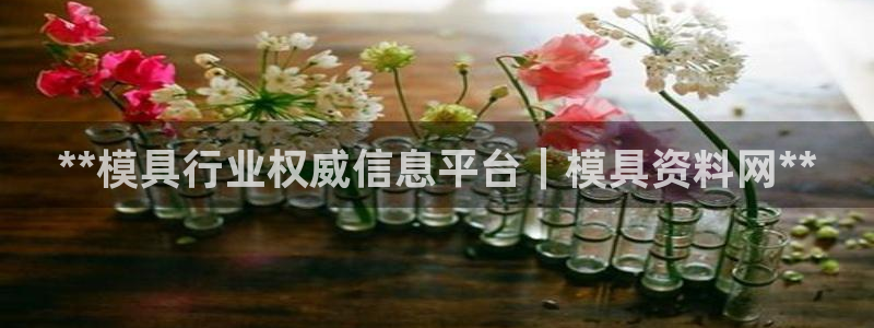 太阳集团城官方app下载：**模具行业权威信息平台｜模具资料网**