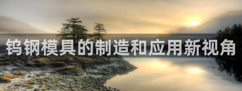 太阳集团网站官网：钨钢模具的制造和应用新视角