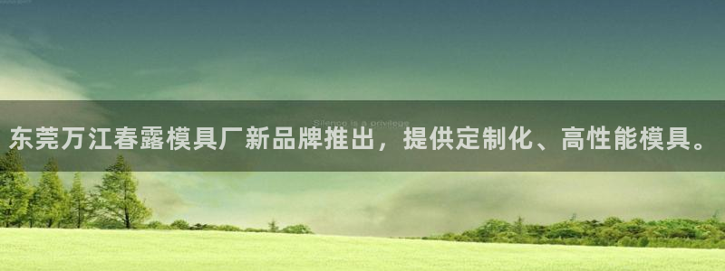 太阳集团电子游戏大全：东莞万江春露模具厂新品牌推出，提供定制化、高性能模具。