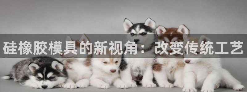太阳诚集团：硅橡胶模具的新视角：改变传统工艺