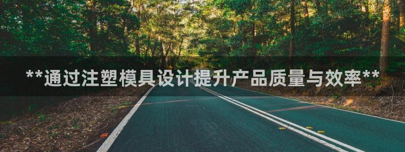 太阳游戏城app：**通过注塑模具设计提升产品质量与效率**