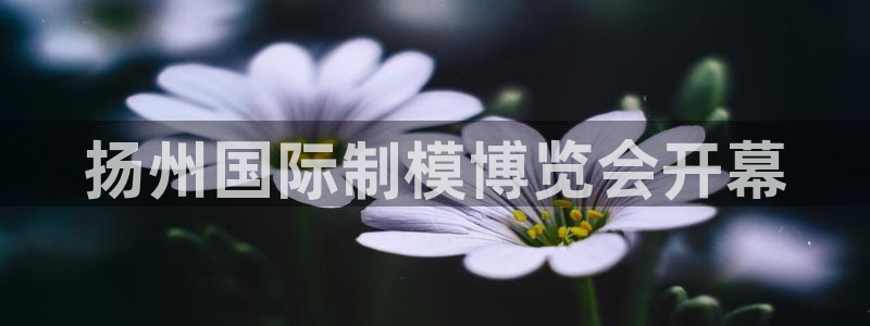 太阳诚集团有限公司是国企吗：扬州国际制模博览会开幕