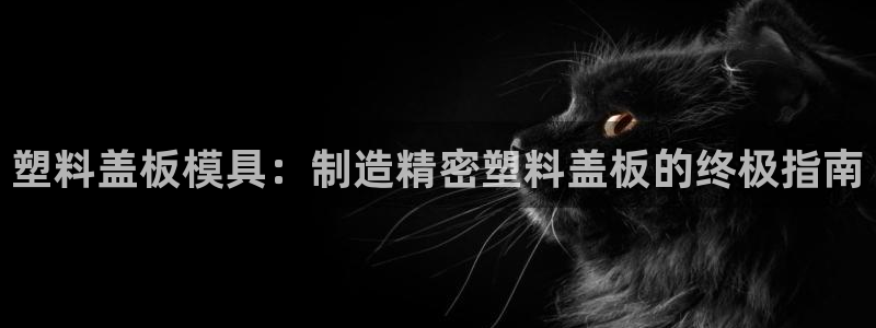 太阳集团城所有网址是多少：塑料盖板模具：制造精密塑料盖板的终极指南