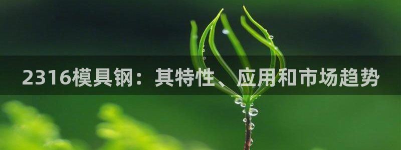 太阳集团城所有网址：2316模具钢：其特性、应用和市场趋势