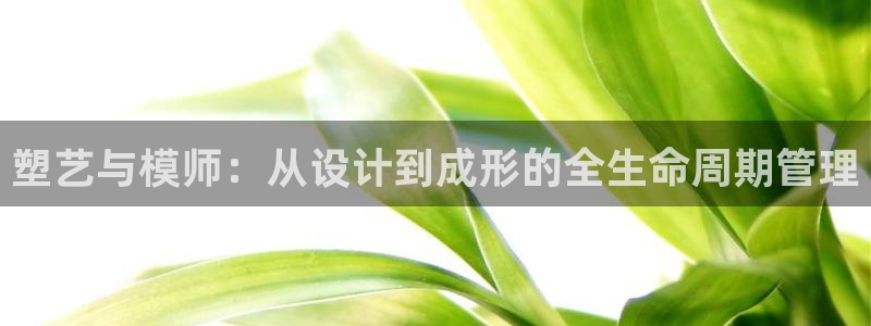 太阳2平台网站：塑艺与模师：从设计到成形的全生命周期管理