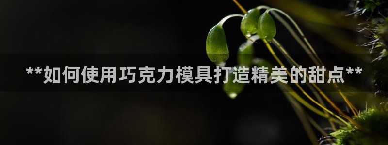 太阳1城集团网址：**如何使用巧克力模具打造精美的甜点**