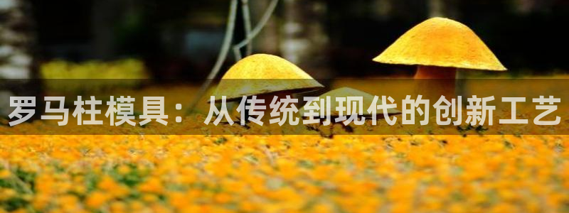 太阳集团董事长的儿子照片：罗马柱模具：从传统到现代的创新工艺