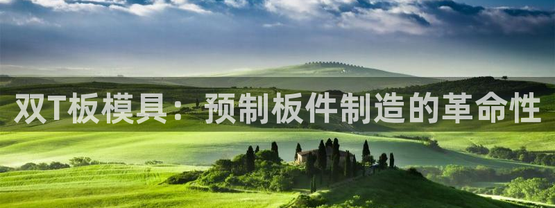 太阳诚集团是干什么的：双T板模具：预制板件制造的革命性