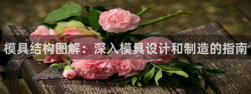 古天乐太阳网城：模具结构图解：深入模具设计和制造的指南