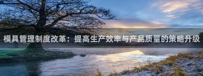 太阳集团游戏城旧版：模具管理制度改革：提高生产效率与产品质量的策略升级