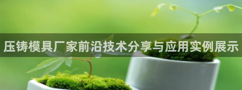 2138cn太阳集团古天乐·网上娱乐：压铸模具厂家前沿技术分享与应用实例展示