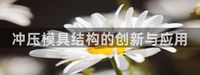 太阳诚集团APP：冲压模具结构的创新与应用