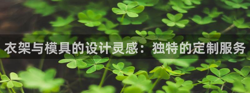 太阳集团在中国合法吗：衣架与模具的设计灵感：独特的定制服务