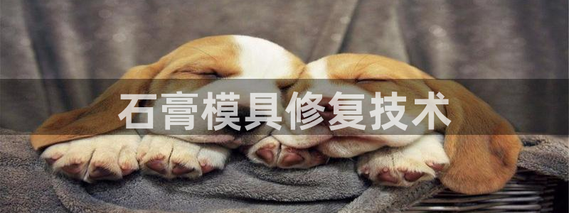 太阳成集团tyc234cc投资控股集团：石膏模具修复技术