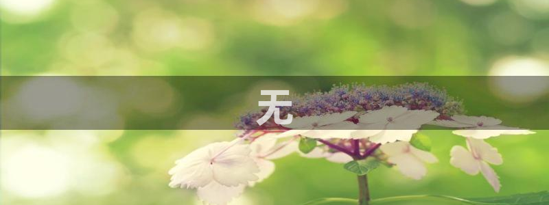 太阳成集团tyc234cc振兴：无