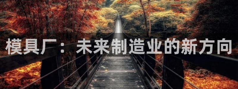 太阳成集团tyc151：模具厂：未来制造业的新方向