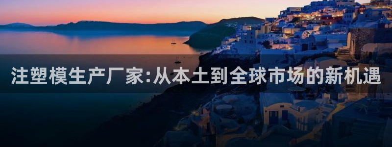 太阳成集团老板照片：注塑模生产厂家:从本土到全球市场的新机遇