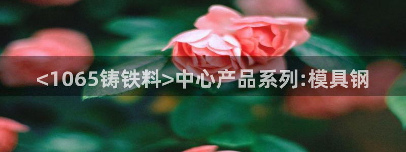 太阳游戏汉化：<1065铸铁料>中心产品系列:模具钢