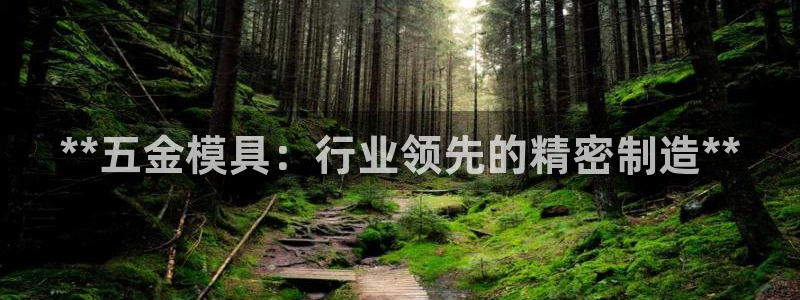 太阳集团股份有限公司官网：**五金模具：行业领先的精密制造**