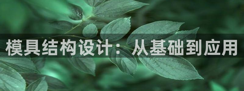 太阳诚集团有限公司：模具结构设计：从基础到应用