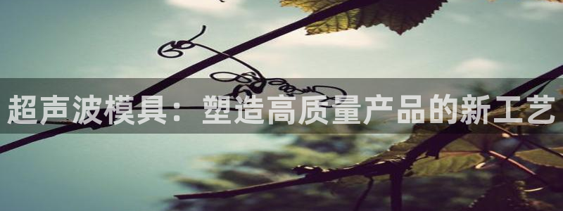 太阳集团城娱6543官网：超声波模具：塑造高质量产品的新工艺