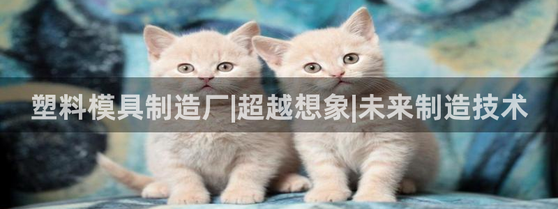太阳诚集团电影：塑料模具制造厂|超越想象|未来制造技术