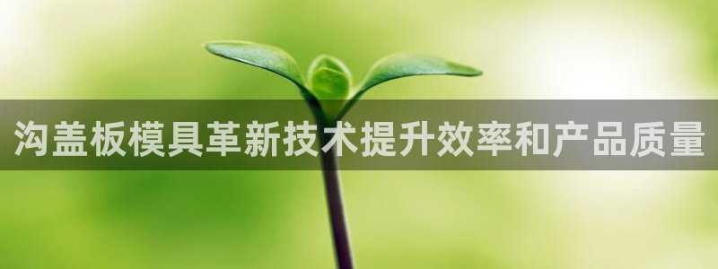 太阳集团78566备用网址：沟盖板模具革新技术提升效率和产品质量