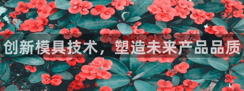 太阳成下载：创新模具技术，塑造未来产品品质
