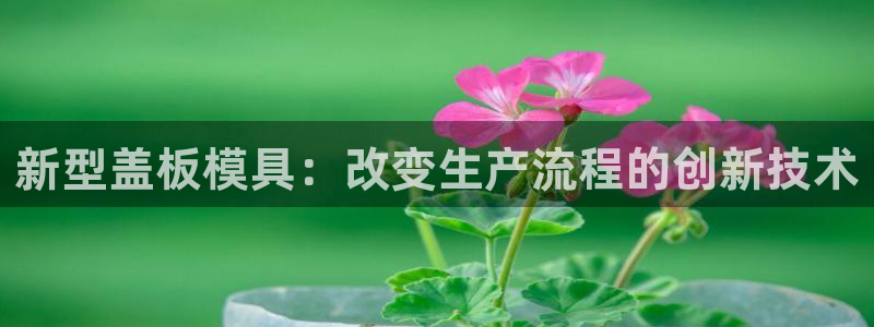 太阳成集团控股买购网：新型盖板模具：改变生产流程的创新技术