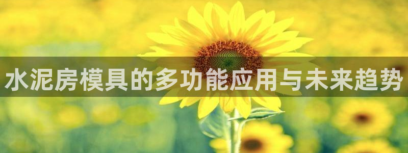 太阳集团网站