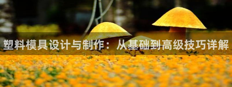 太阳成娱乐集团：塑料模具设计与制作：从基础到高级技巧详解