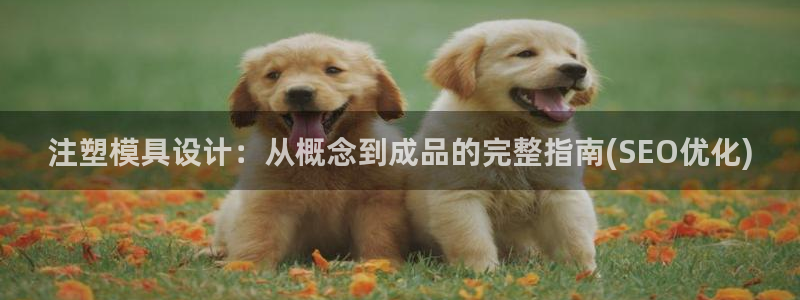 太阳集团城网：注塑模具设计：从概念到成品的完整指南(SEO优化)