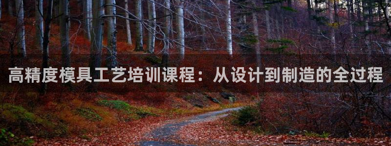 太阳gg平台注册：高精度模具工艺培训课程：从设计到制造的全过程