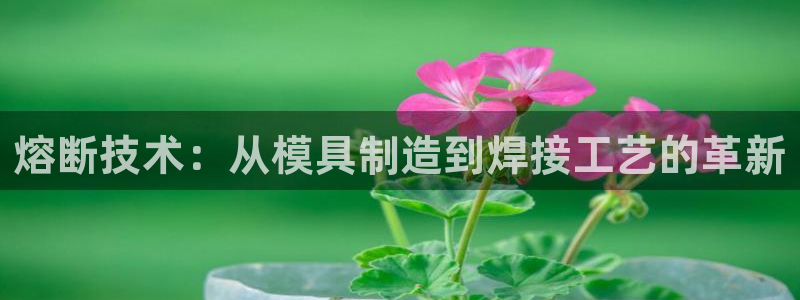 15vip太阳集团官网：熔断技术：从模具制造到焊接工艺的革新