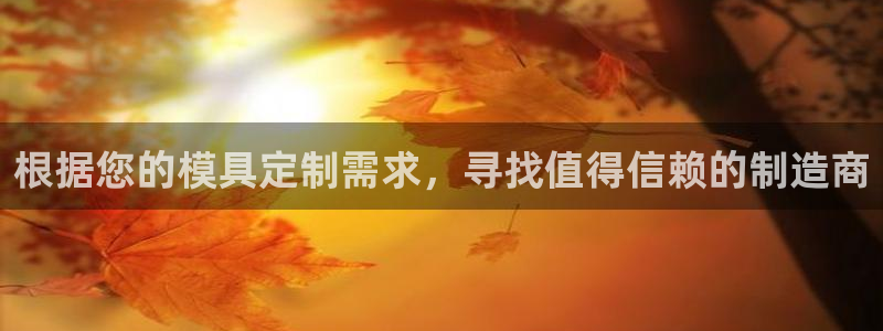 太阳gg平台登陆：根据您的模具定制需求，寻找值得信赖的制造商
